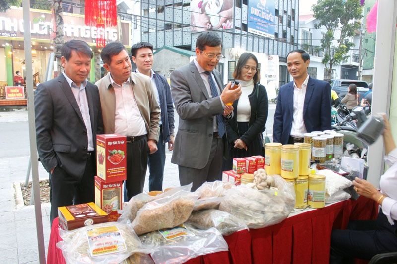 Đồng chí Phạm Quang Hải, TUV, Giám đốc Sở Công thương tham quan các sản phẩm được trưng bày tại chương trình. 