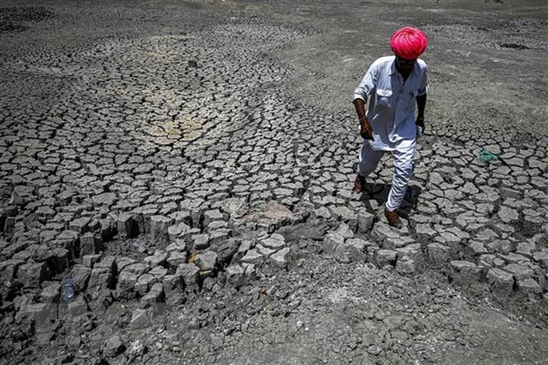 Lòng hồ khô cạn do hạn hán tại làng Bandai, huyện Pali, Ấn Độ, ngày 11/5/2022. (Ảnh: AFP/TTXVN)