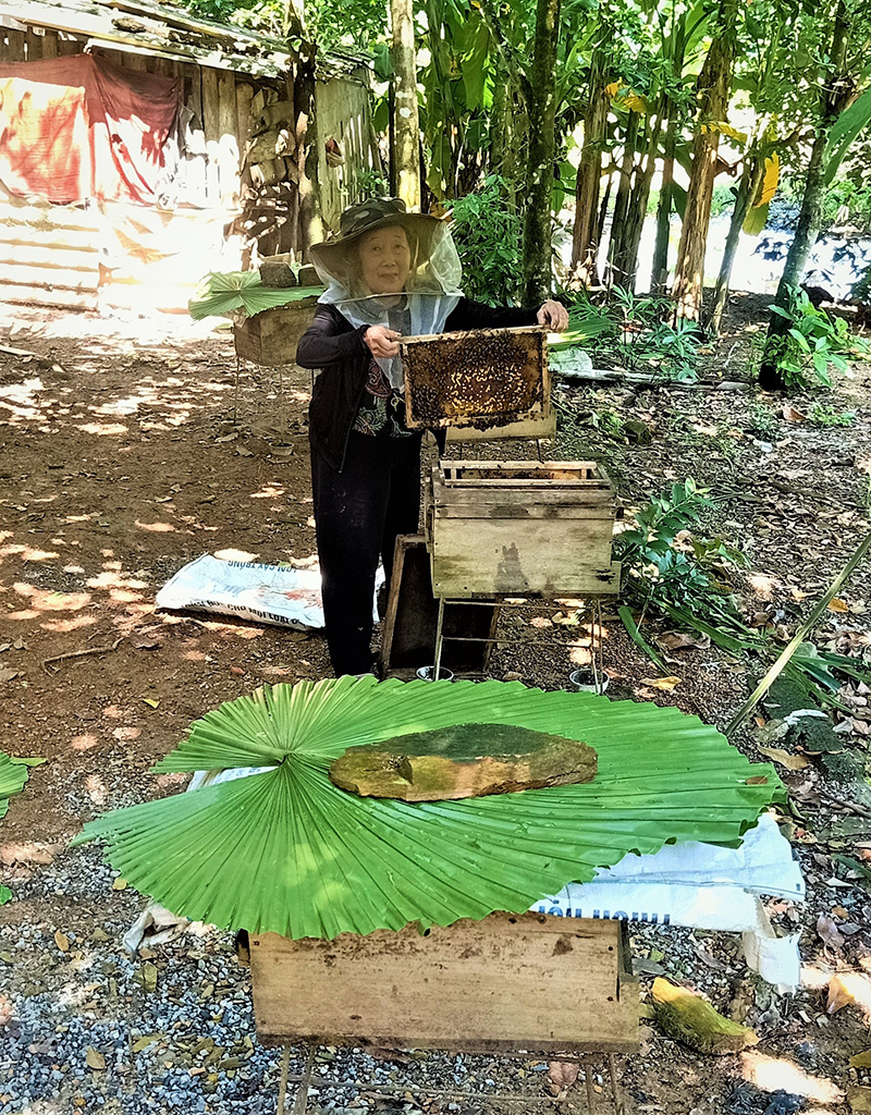 Mô hình nuôi ong lấy mật của gia đình ông Nguyễn Văn Dũng, xã trường Xuân (Quảng Ninh) đem lại nguồn thu nhập ổn định.