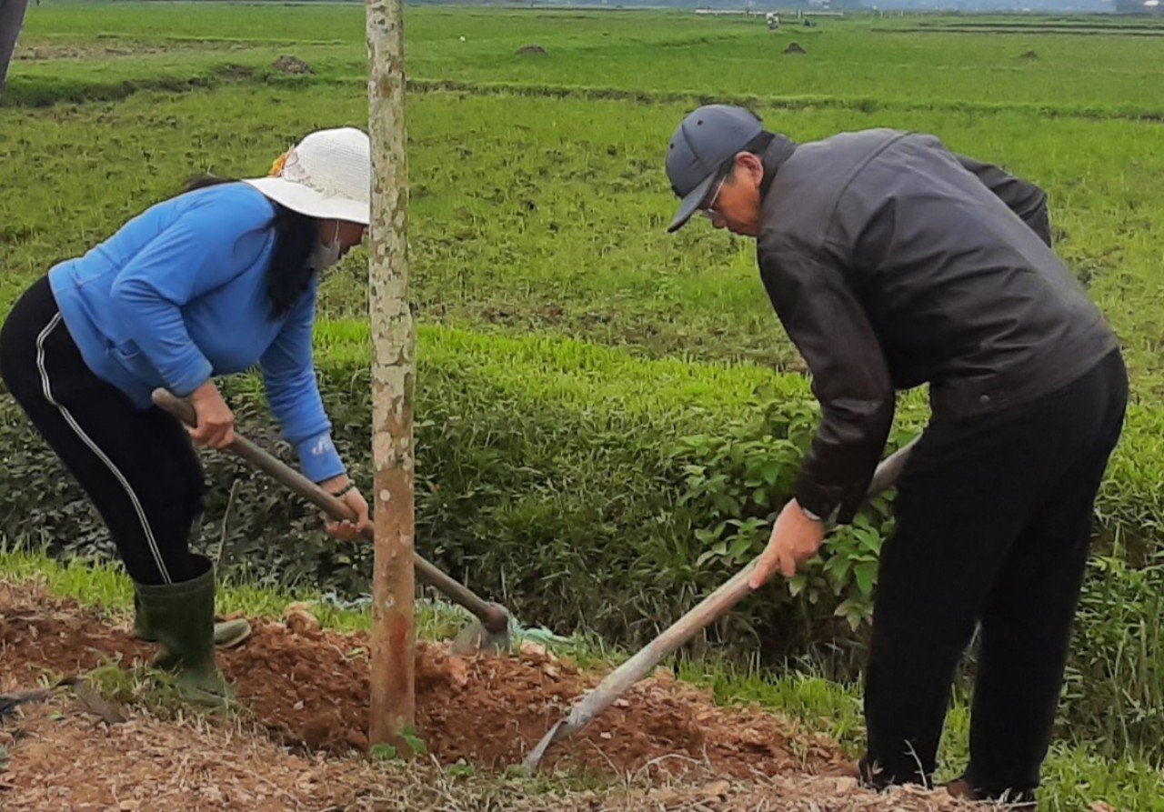 Lãnh đạo Hội ND tỉnh trồng cây xanh ở các tuyến đường nông thôn mới.