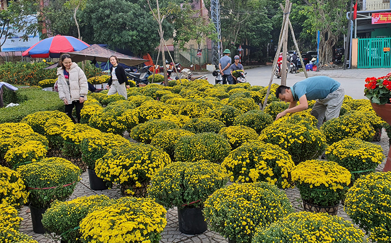 Các điểm hoa trên địa bàn thành phố đáp ứng nhu cầu mua sắm của người dân thành phố.