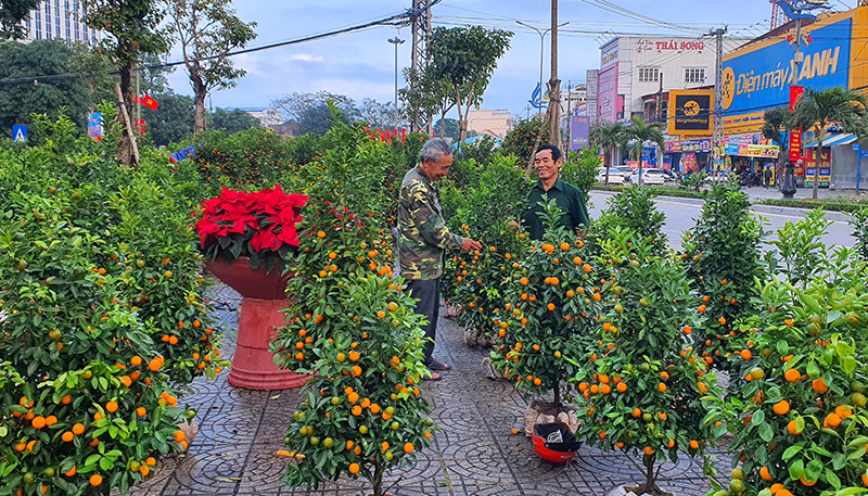 Điểm hoa xuân trên đường Trần Hưng Đạo, phường Nam Lý.