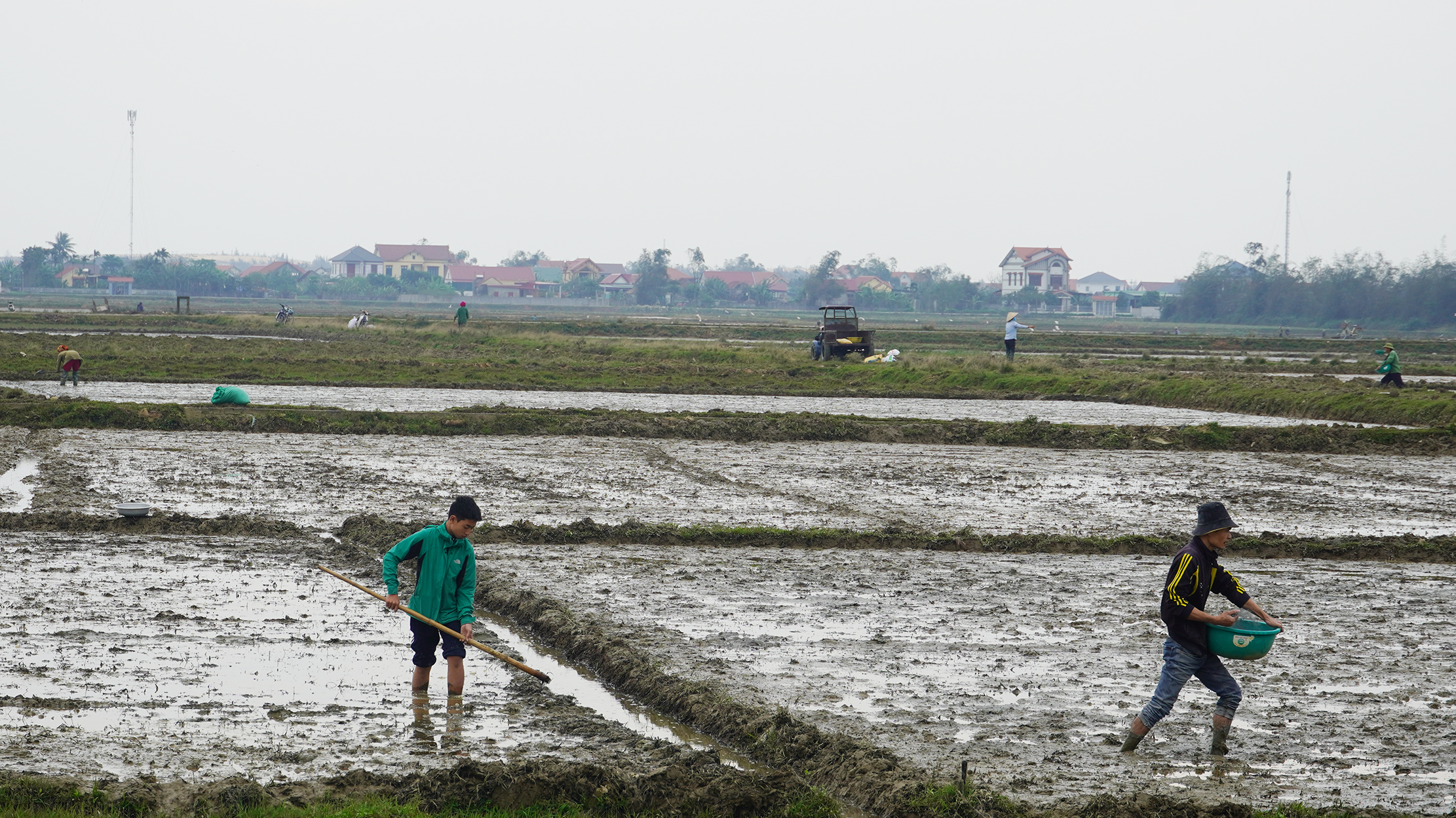 Nông dân huyện Bố Trạch tập trung gieo cấy lúa vụ đông-xuân 2022-2023.