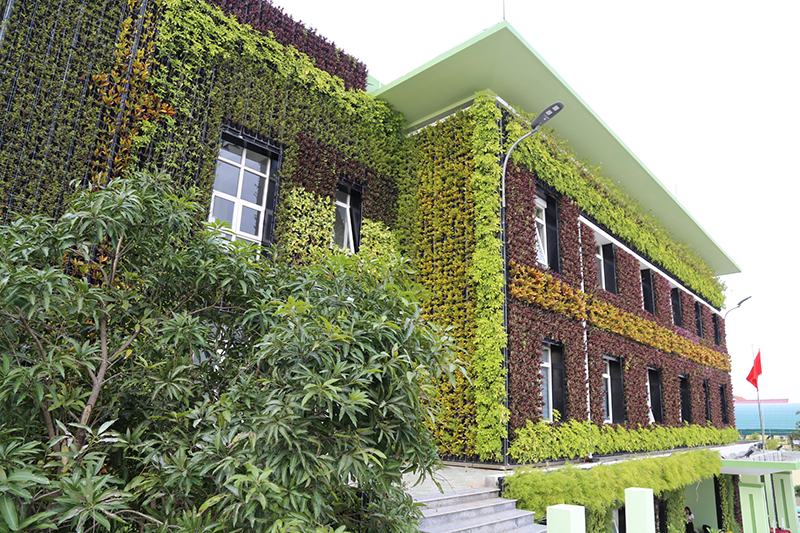 Tòa nhà 3 tầng hiện đại của Ban Quản lý Dịch vụ công ích TP. Đồng Hới-công trình phủ kín cây xanh độc đáo đầu tiên tại Quảng Bình.