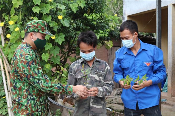 Cán bộ Đồn Biên phòng cửa khẩu Chi Ma (Lạng Sơn) trao tặng và hướng dẫn cách trồng cây giống cho người dân vùng biên. Ảnh tư liệu: Quang Duy/TTXVN