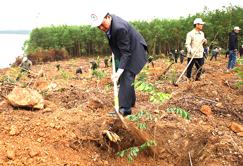 Đồng chí Trần Hải Châu, Phó Bí thư Thường trực Tỉnh ủy, Chủ tịch HĐND tỉnh trồng cây xanh tại lễ phát động “Tết trồng cây đời đời nhớ ơn Bác Hồ”.