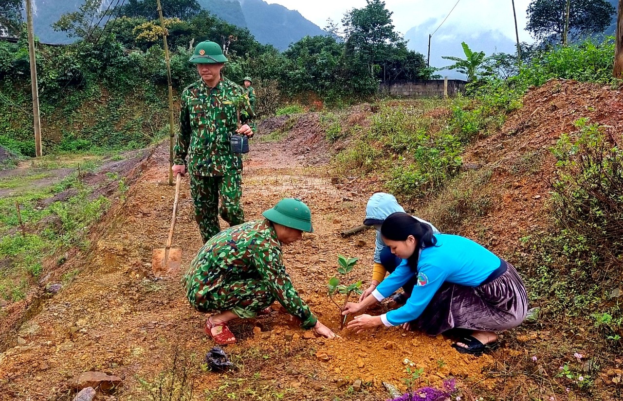 Cán bộ, chiến sĩ Đồn Biên phòng Làng Mô, BĐBP tỉnh phối hợp với nhân dân địa phương tham gia trồng cây trên địa bàn.