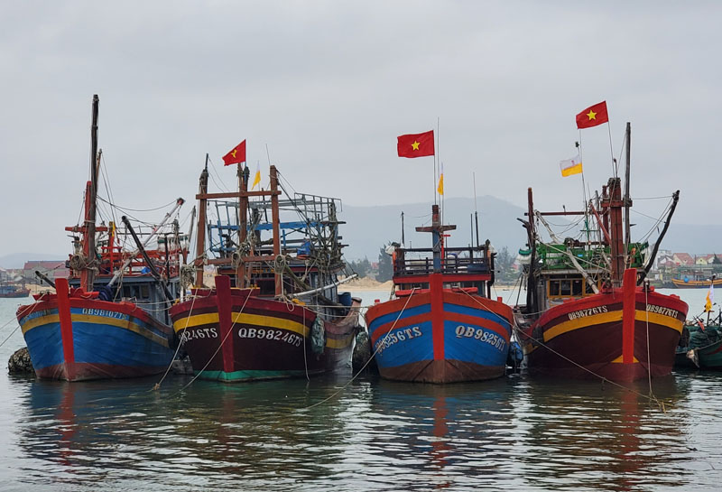 Phường Quảng Phúc (TX. Ba Đồn) có lượng tàu lớn đánh bắt xa bờ xuyên Tết Nguyên đán Quý Mão 2023.