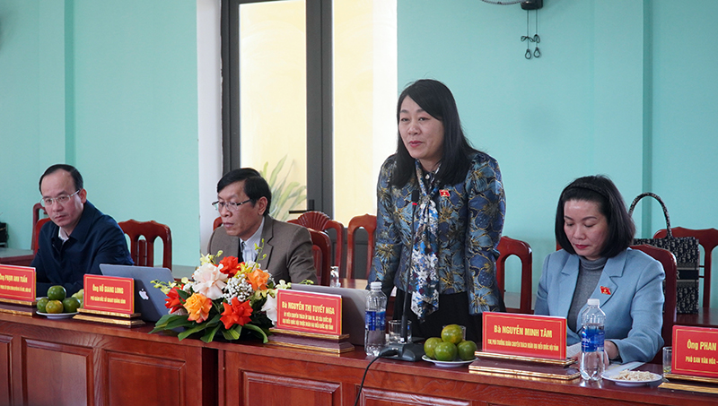 Đại biểu Nguyễn Thị Tuyết Nga phát biểu tại buổi giám sát