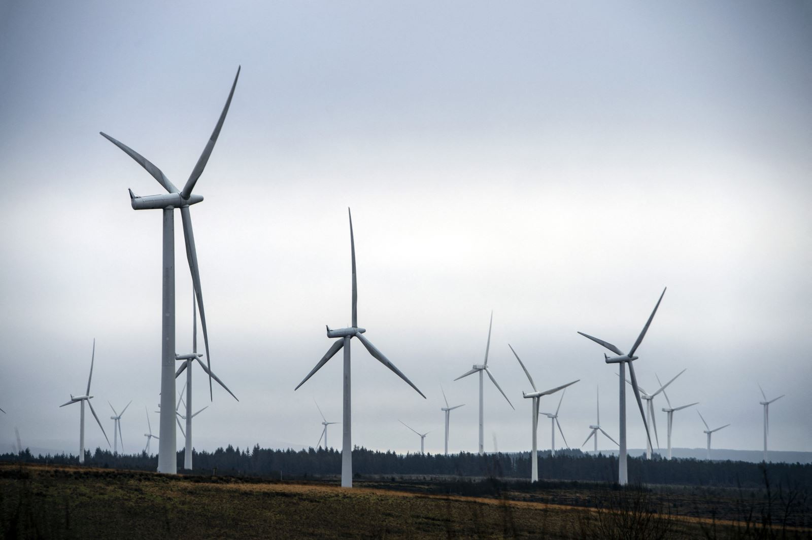 Nhà máy điện gió ở Eaglesham Moor, Scotland. Ảnh: AFP/TTXVN