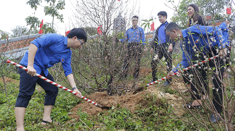 Đoàn viên, thanh niên trồng cây trong khu vực đền tưởng niệm.