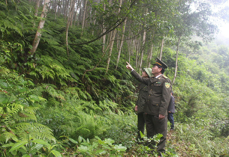 Nguồn thu từ dịch vụ môi trường rừng sẽ góp phần nâng cao công tác quản lý, bảo vệ, phát triển rừng.