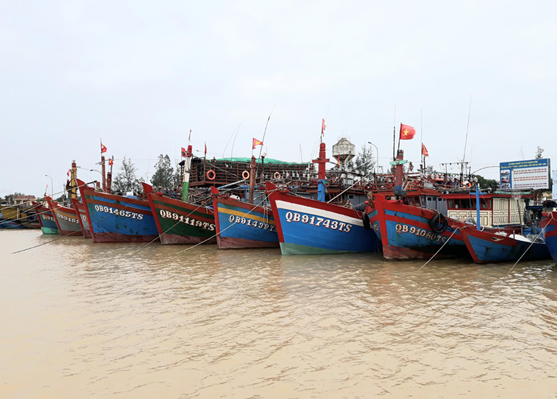 Quảng Bình sẽ hoàn thành 100% việc đăng ký, đăng kiểm, đánh dấu tàu cá, cấp giấy phép khai thác thủy sản, lắp đặt thiết bị giám sát hành trình tàu cá.