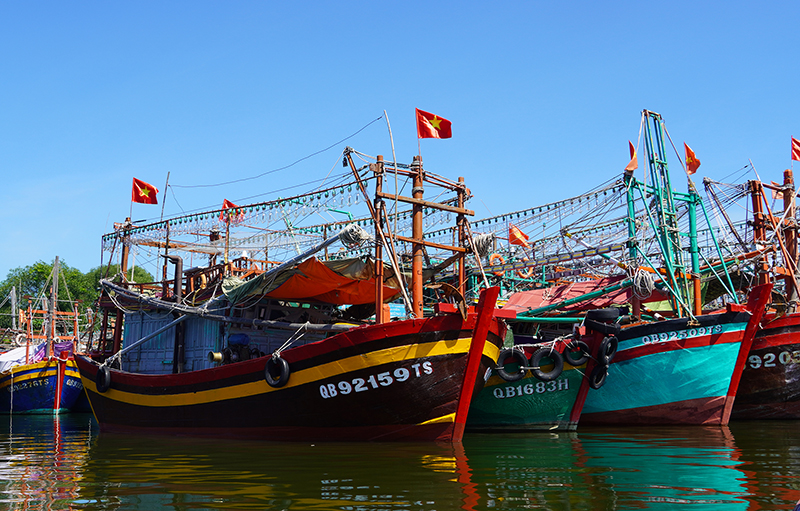 Tàu thuyền của ngư dân huyện Bố Trạch sẵn sàng vươn khơi, mang kỳ vọng một mùa biển vui.