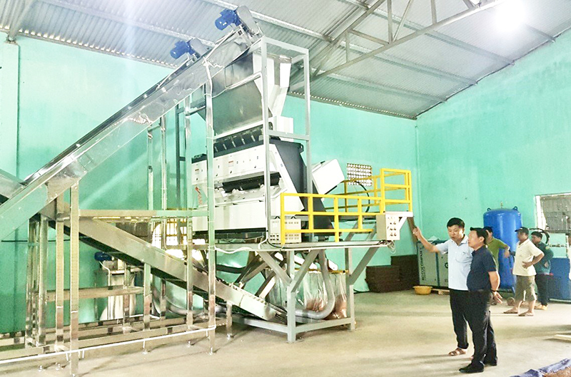 Trung tâm Khuyến công-Xúc tiến thương mại Quảng Bình hỗ trợ mô hình trình diễn kỹ thuật trong sản xuất viên gỗ nén năng lượng.