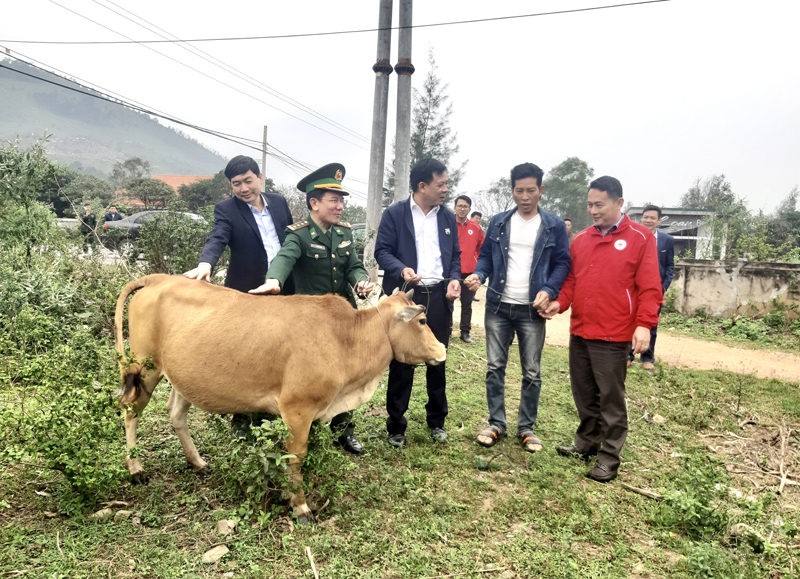 Trao bò sinh sản hỗ trợ sinh kế cho người dân xã Quảng Đông.