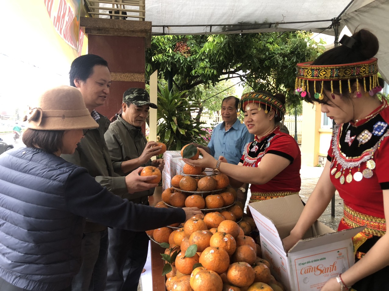 Hỗ trợ tiêu thụ 7 tấn cam sành VietGap cho nông dân Hà Giang