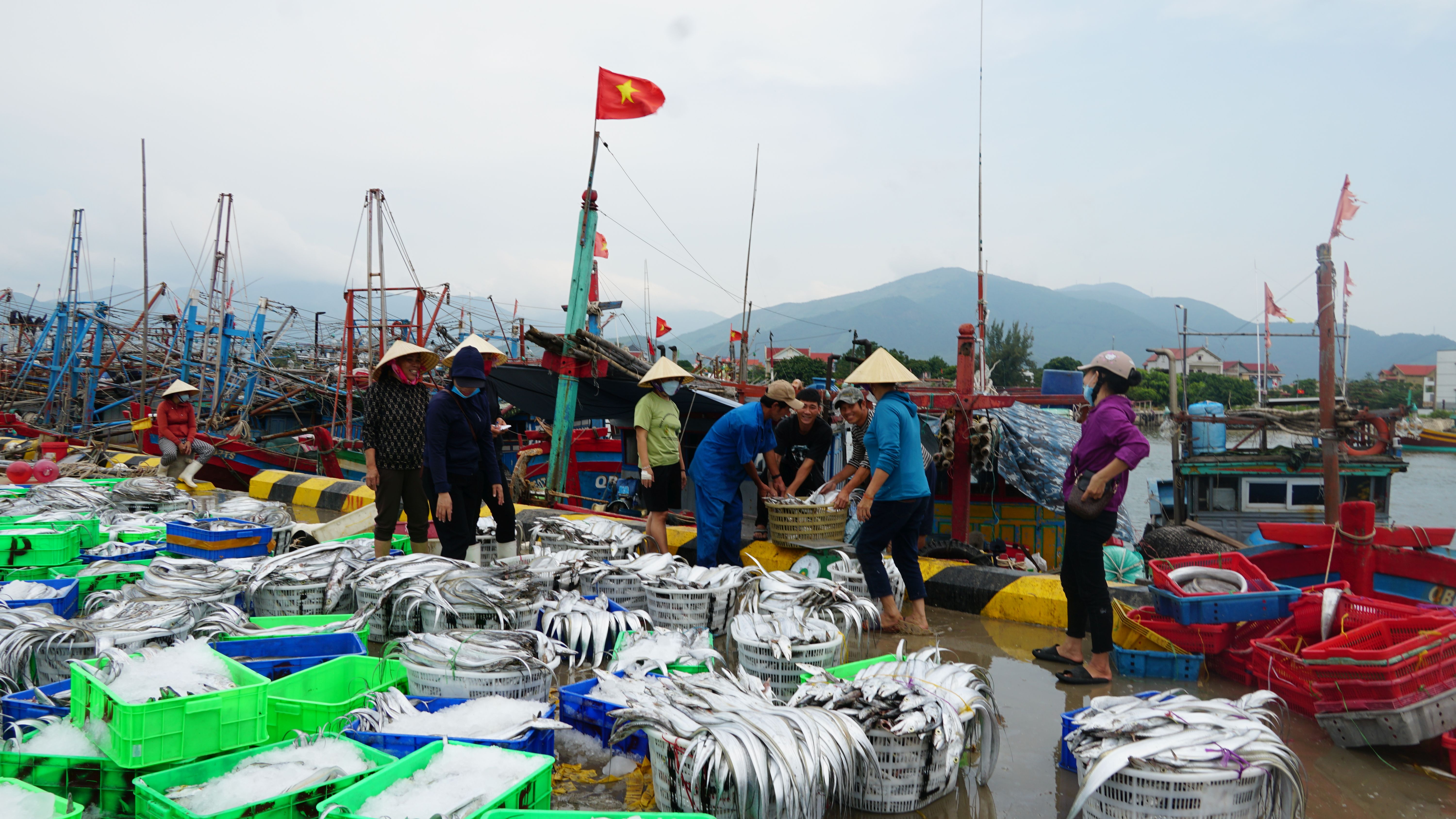 Quảng Trạch: Sản lượng khai thác thủy sản tăng khá