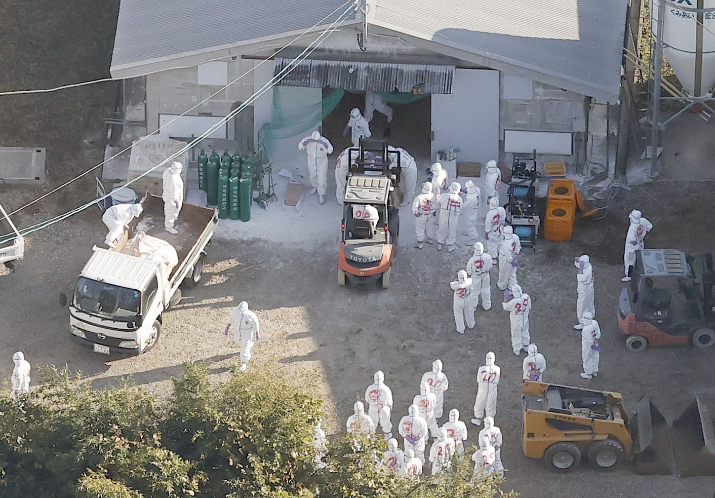 Nhân viên tiêu huỷ gia cầm tại một trang trại bùng phát dịch cúm gia cầm ở thành phố Kobayashi, tỉnh Miyazaki, miền Tây Nam Nhật Bản. Ảnh tư liệu: KYODO/TTXVN