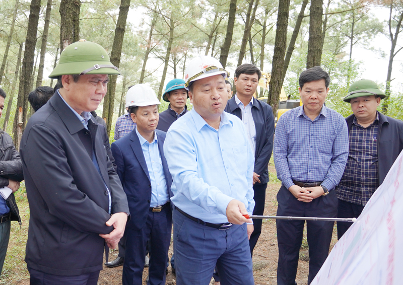 Đồng chí Chủ tịch UBND tỉnh kiểm tra thực địa tại khu vực rừng thông của Công ty TNHH MTV Lâm Công nghiệp Long Đại cần giải phóng nhanh để có mặt bằng thi công và sử dụng làm bãi trữ.