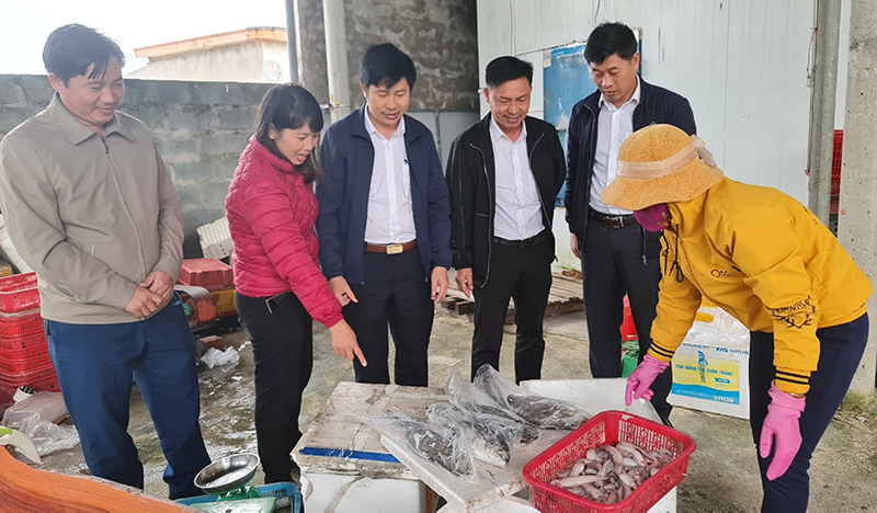 Nghề khai thác, chế biến thuỷ hải sản đem lại thu nhập ổn định cho người dân xã Hải Ninh. 