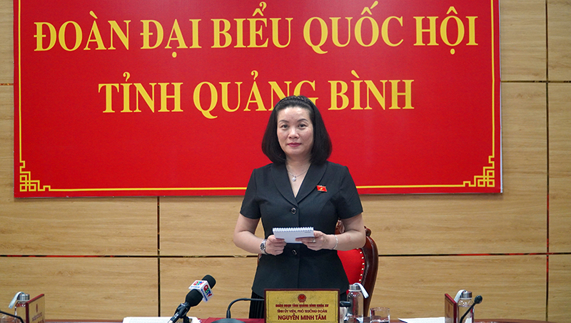 Đại biểu Nguyễn Minh Tâm chất vấn Viện trưởng Viện KSND tối cao Lê Minh Trí về nhóm vấn đề thuộc lĩnh vực kiểm sát.