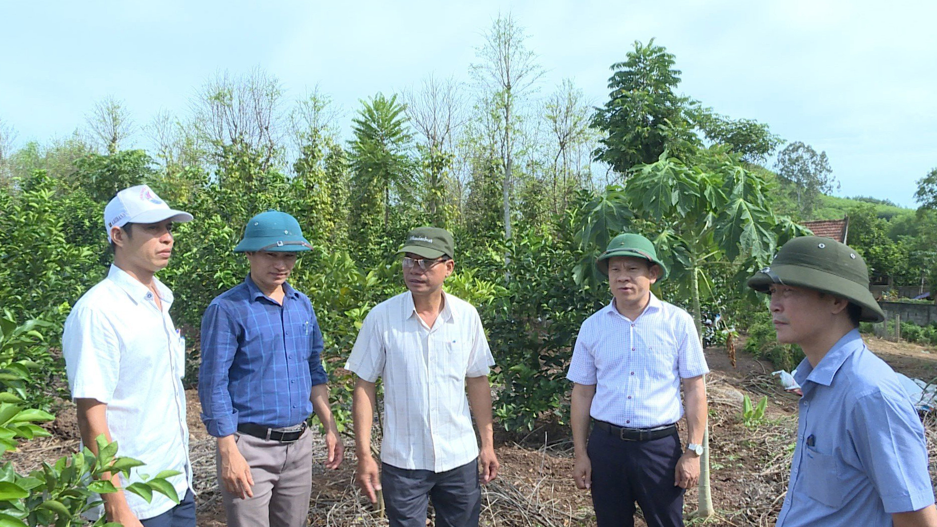 Bí thư Huyện ủy Lệ Thủy Lê Vĩnh Thế kiểm tra mô hình trồng cam tại xã Trường Thủy.     