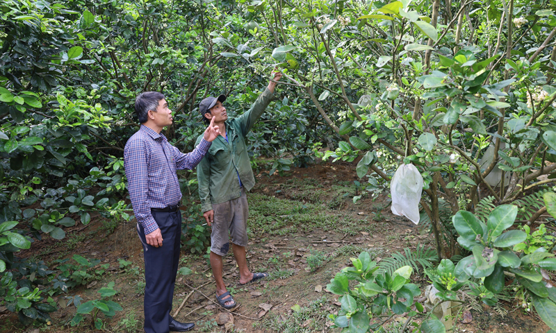 Bí thư Huyện ủy Minh Hóa Bùi Anh Tuấn, thăm hỏi, động viên một nông dân làm kinh tế giỏi tại thị trấn Quy Đạt.