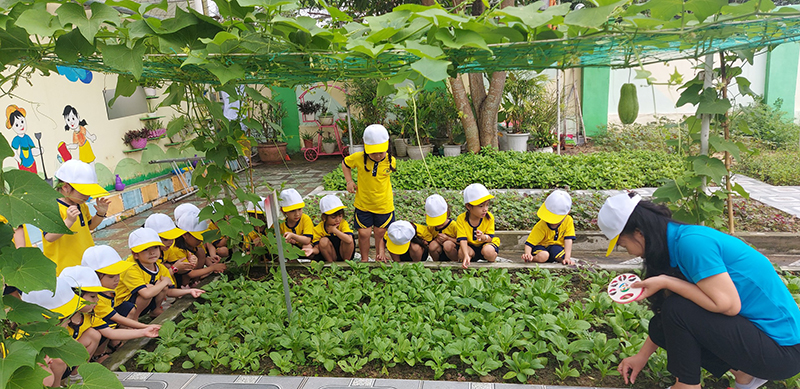 Tại trường MN Bảo Ninh (TP. ĐH) trẻ thường xuyên được tham gia các hoạt động trải nghiệm