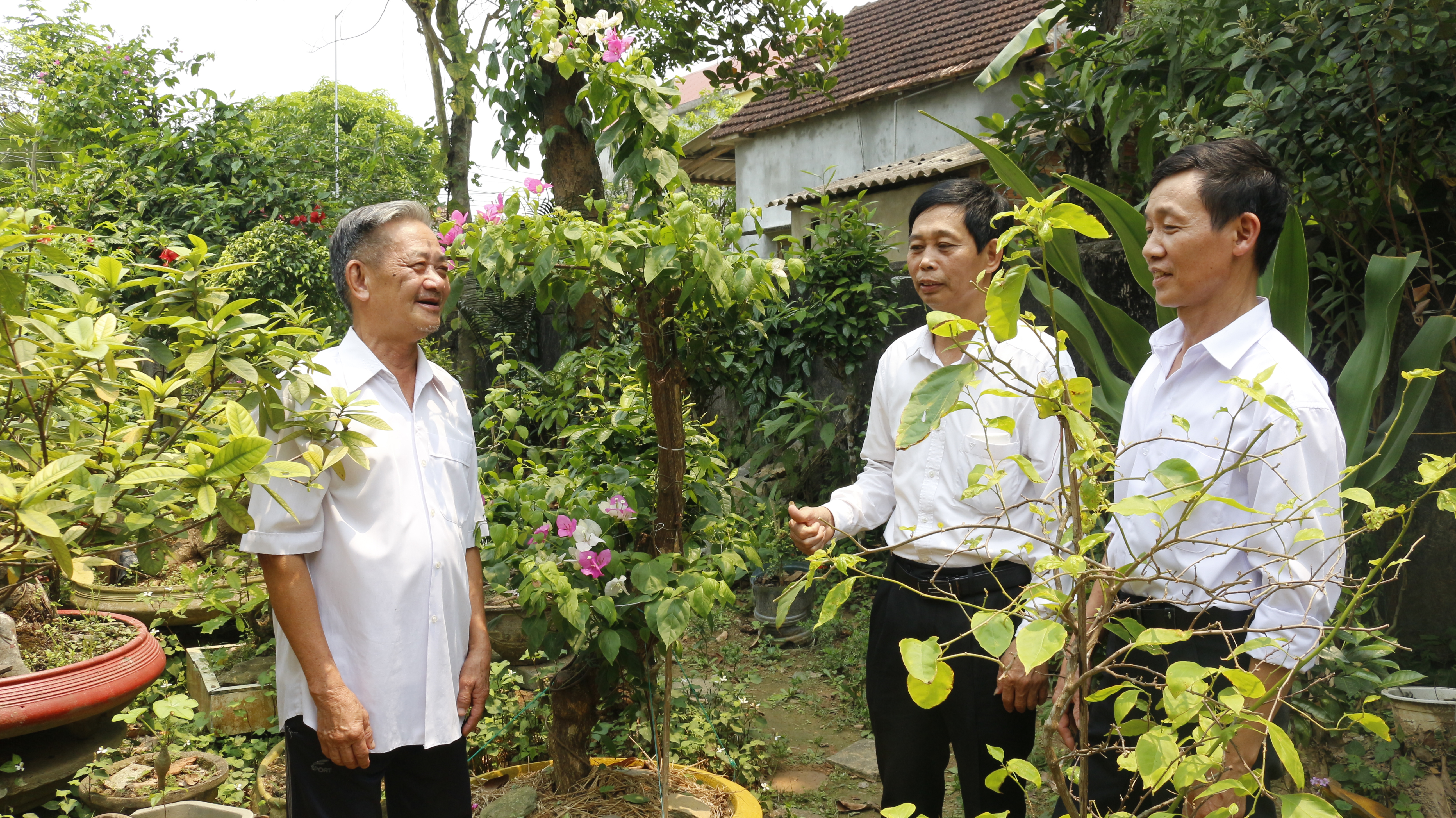 Mô hình vườn mẫu tạo vườn hoa cây cảnh cho thu nhập cao trên địa bàn thôn Liên Sơn (xã Mai Hóa, Tuyên Hóa).