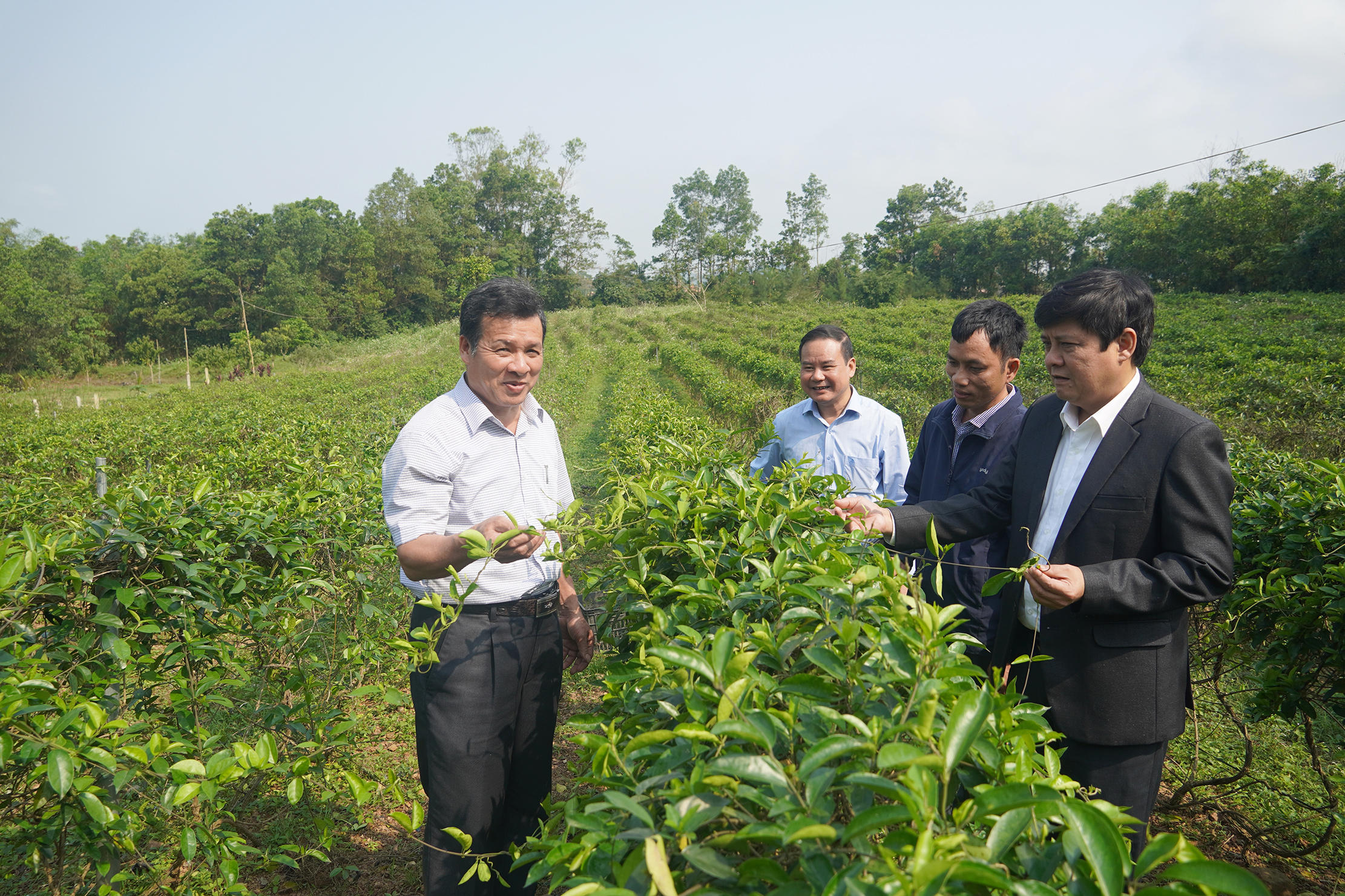 Lãnh đạo huyện Bố Trạch thăm mô hình sản xuất, kinh doanh của hội viên nông dân trên địa bàn huyện.