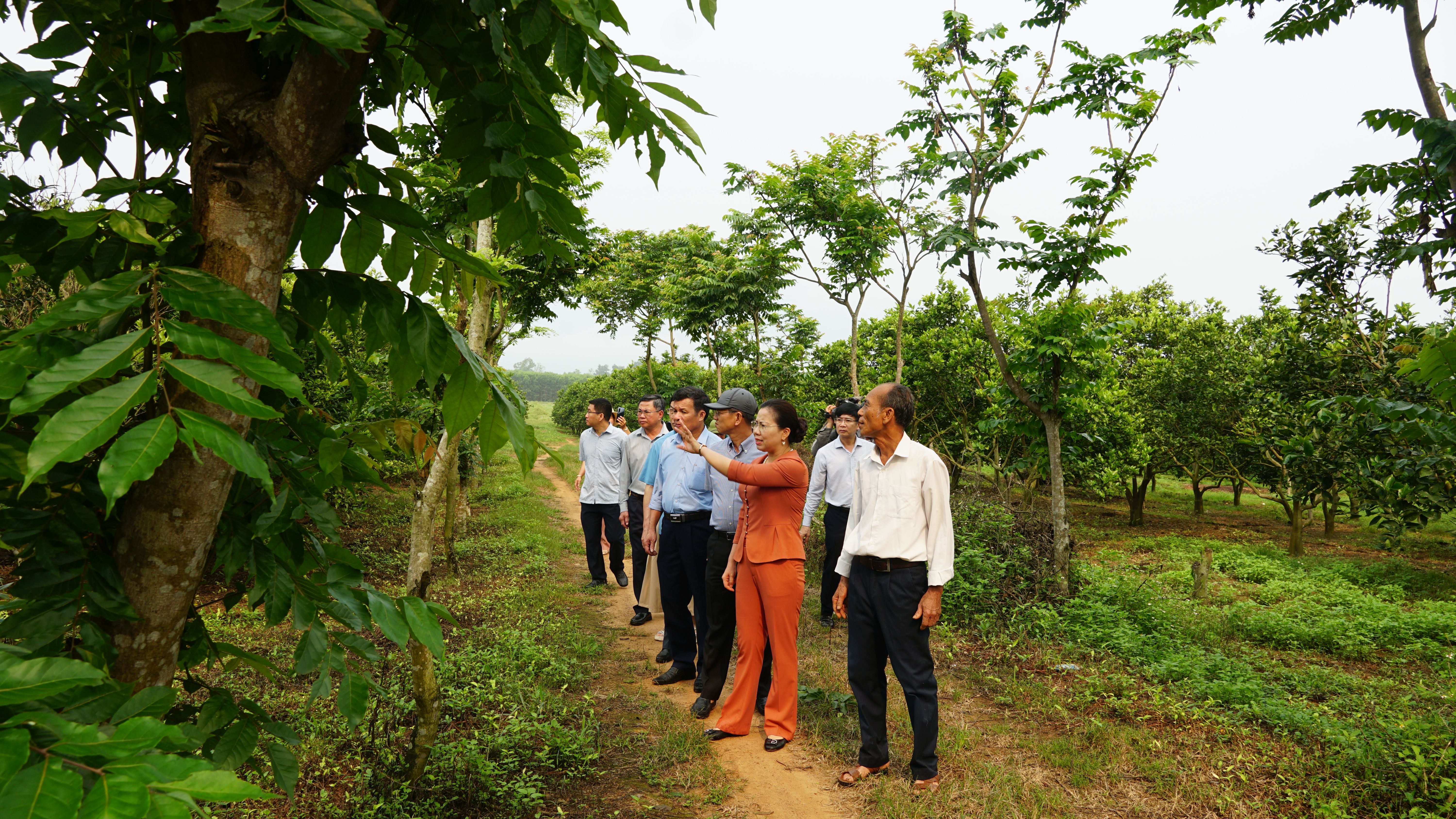 Đoàn công tác Trung ương Hội Nông dân Việt Nam thăm trang trại của ông Bế Văn Mai.