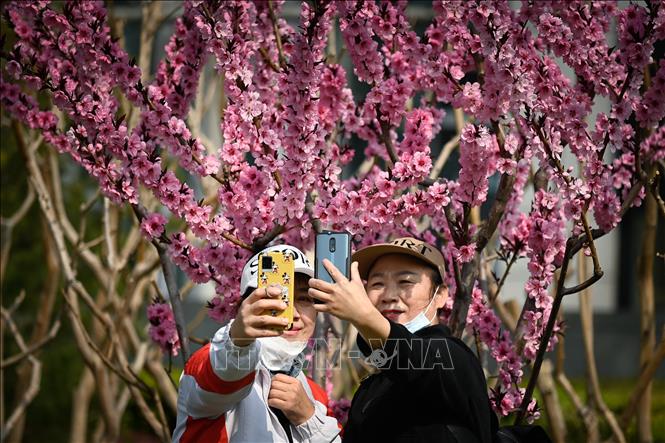 Người dân chụp ảnh bằng điện thoại thông minh tại Bắc Kinh, Trung Quốc. Ảnh: AFP/TTXVN