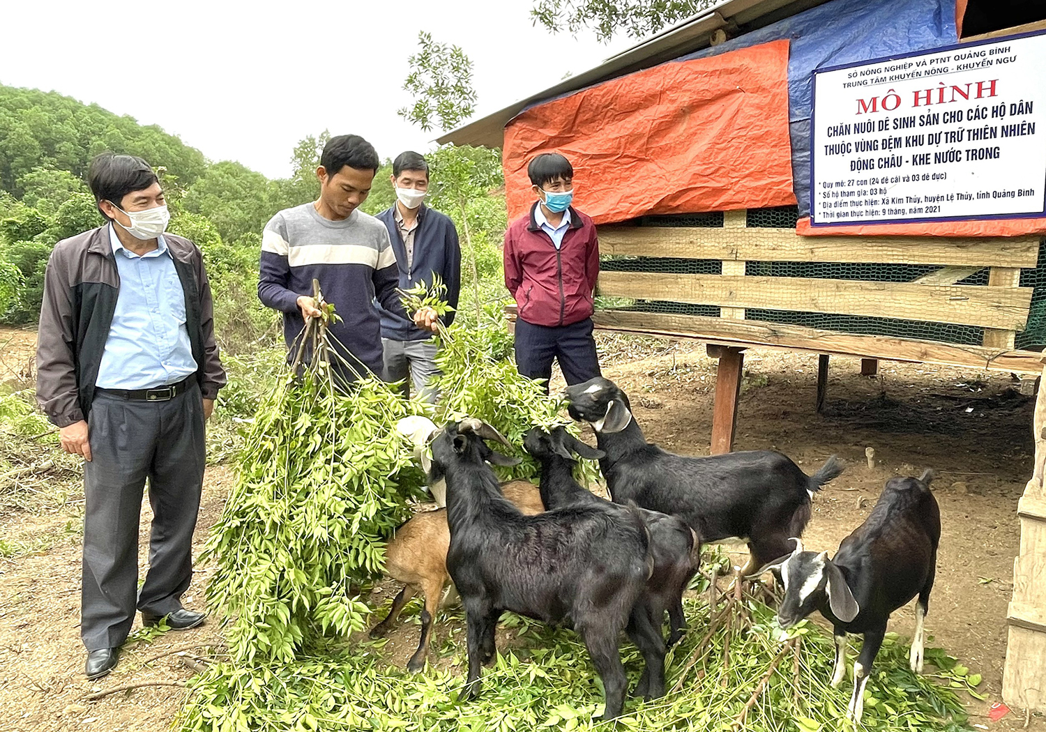 Mô hình chăn nuôi dê sinh sản cho các hộ dân thuộc vùng đệm Khu dự trữ thiên nhiên Động Châu-khe Nước Trong.