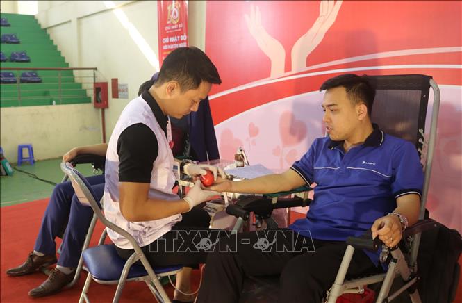 Đông đảo thanh niên Bắc Ninh tham gia hiến máu trong Ngày “Chủ nhật đỏ”  lần thứ XV, năm 2023 với chủ đề “Hiến máu cứu người - Sinh mệnh của bạn và tôi”, ngày 28/2. Ảnh: Thái Hùng/TTXVN
