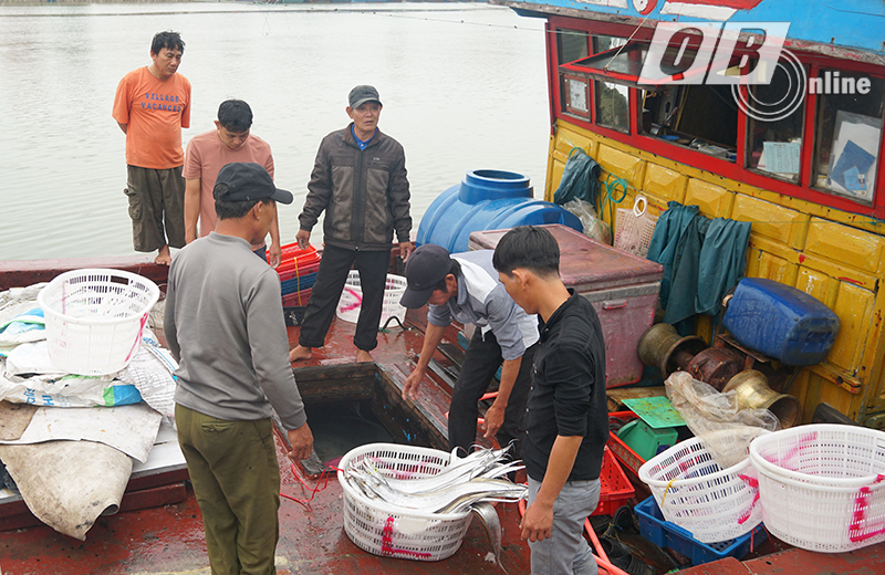 Phần lớn ngư dân Cảnh Dương đều hành nghề câu cá hố khơi.