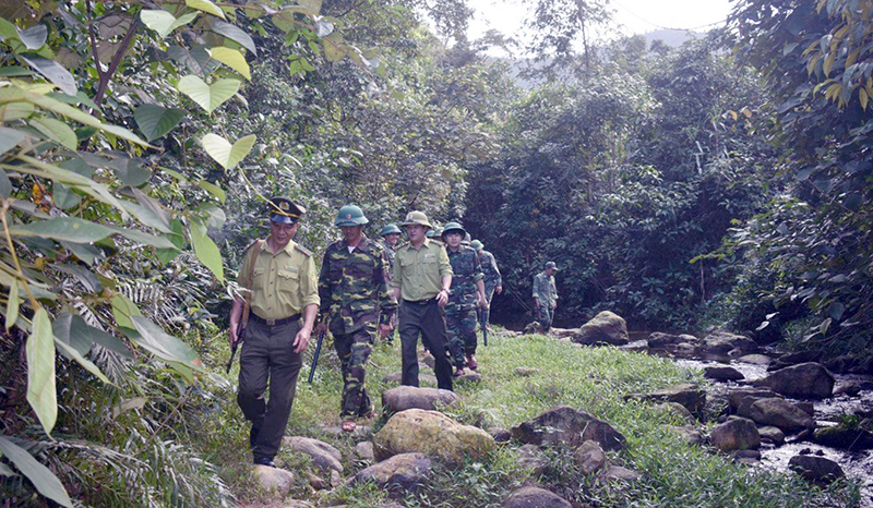 Lực lượng chức năng tuần tra, bảo vệ rừng.