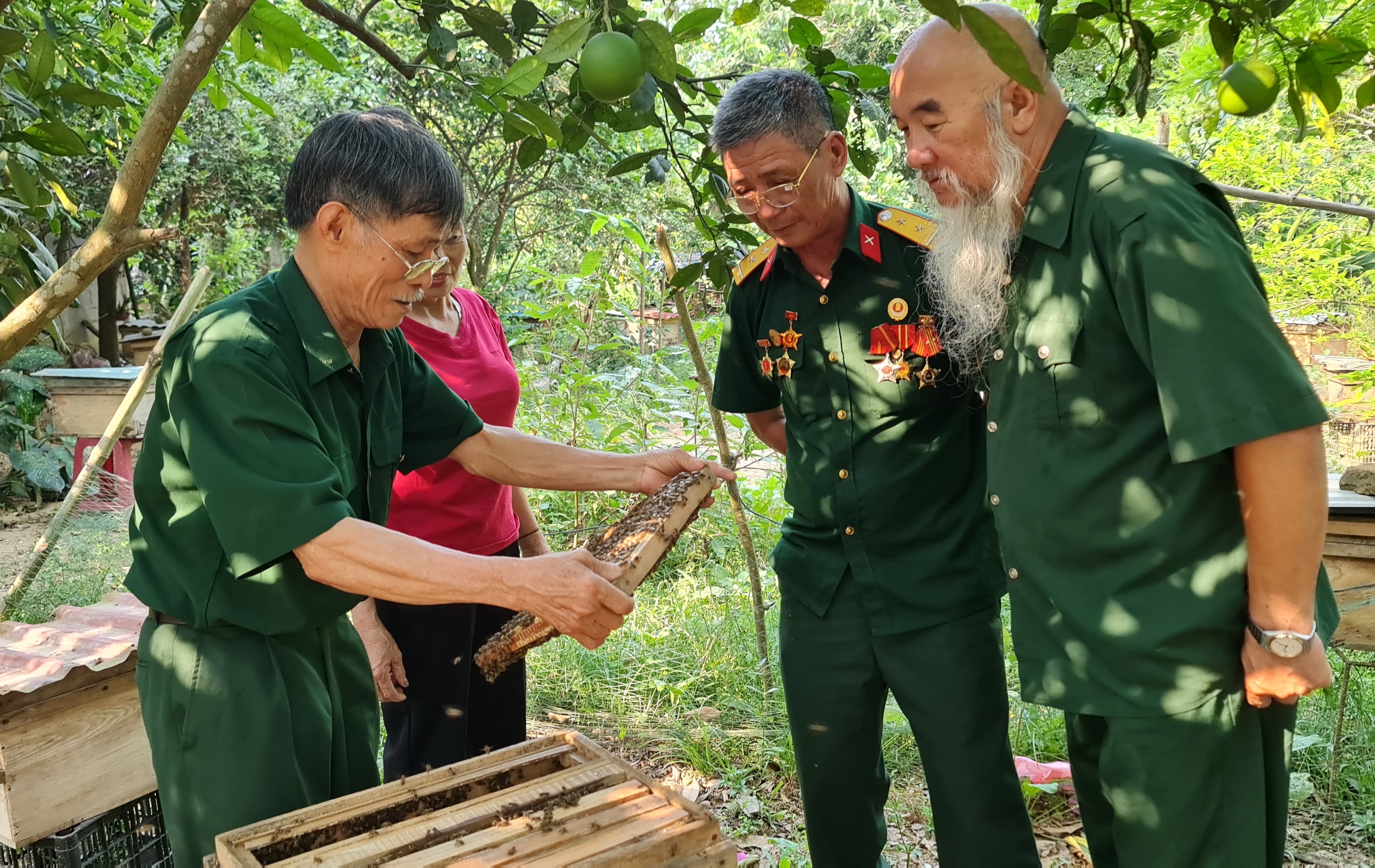 Đồng đội Sư đoàn 341 năm xưa đến thăm mô hình nuôi ong của CCB Hồ Văn Quý.