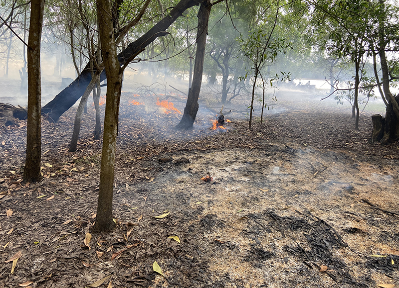 Ban Quản lý rừng phòng hộ Đồng Hới và ven biển tỉnh Quảng Bình vệ sinh rừng bằng phương pháp đốt trước.