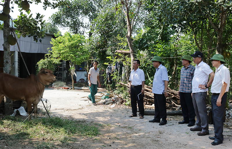  Đồng chí Phó Chủ tịch Thường trực UBND tỉnh Đoàn Ngọc Lâm kiểm tra công tác phòng, chống dịch bệnh động vật tại xã Quảng Lưu (Quảng Trạch).