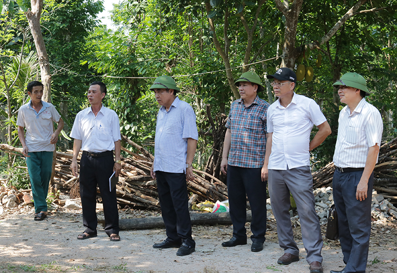  Đồng chí Phó Chủ tịch Thường trực UBND tỉnh Đoàn Ngọc Lâm kiểm tra công tác phòng, chống dịch bệnh động vật tại xã Quảng Lưu (Quảng Trạch).
