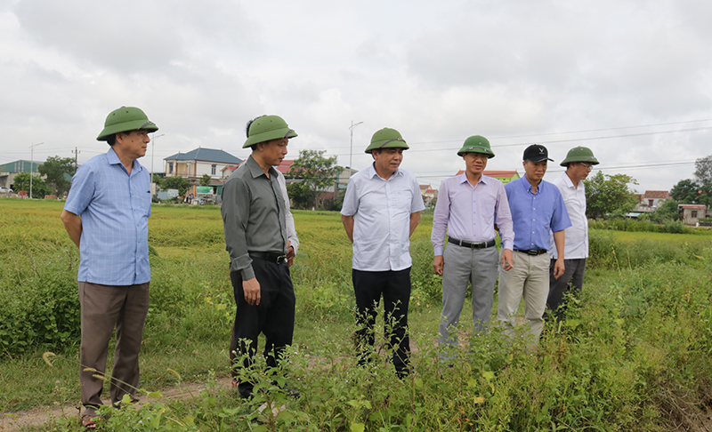 Đồng chí Phó Chủ tịch Thường trực UBND tỉnh Đoàn Ngọc Lâm kiểm tra tình hình thiệt hại lúa vụ đông-xuân tại thôn Quảng Xá, xã Tân Ninh (Quảng Ninh).