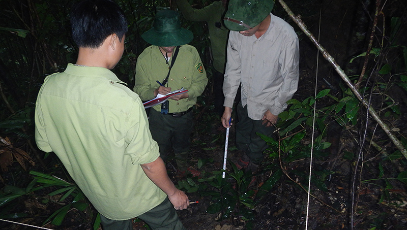 Lực lượng chức năng kiểm tra thực địa rừng