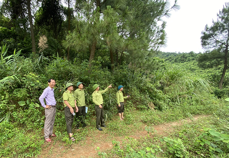  Lực lượng Kiểm lâm huyện Bố Trạch kiểm tra công tác bảo vệ rừng tại lâm phần Công ty TNHH MTV LCN Bắc Quảng Bình.