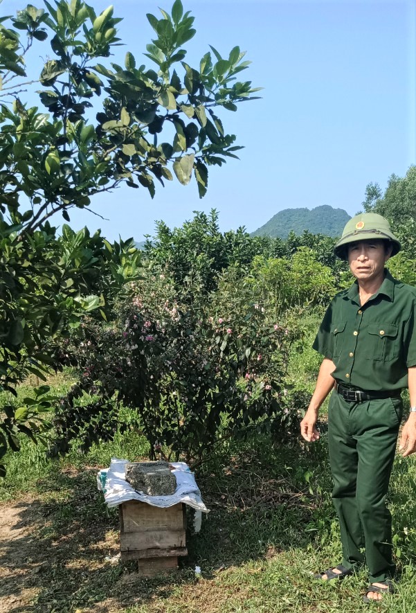 Cựu chiến binh huyện Tuyên Hóa đã phát huy tiềm năng, lợi thế của địa phương để phát triển kinh tế.