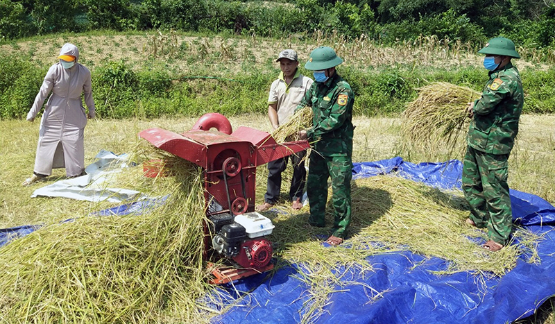 Cán bộ, chiến sĩ Đồn BP Làng Mô và Hội LHPN xã Trường Sơn giúp bà con bản Cổ Tràng thu hoạch lúa.