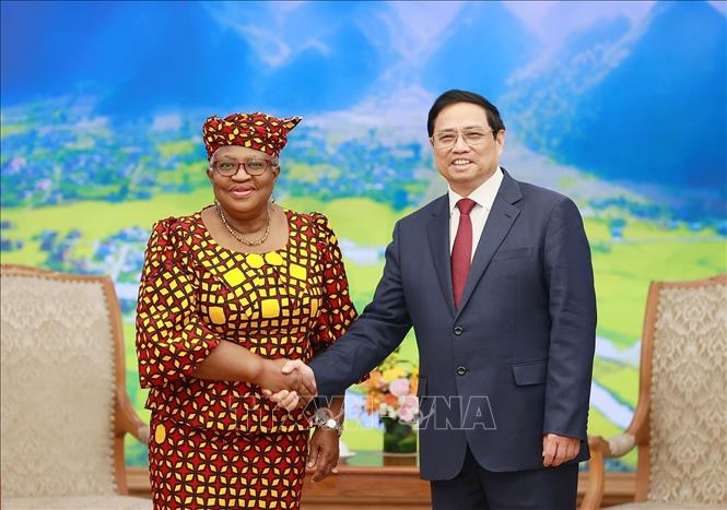 Thủ tướng Phạm Minh Chính tiếp Tổng Giám đốc Tổ chức Thương mại thế giới (WTO) Ngozi Okonjo-Iweal. Ảnh: Dương Giang/TTXVN