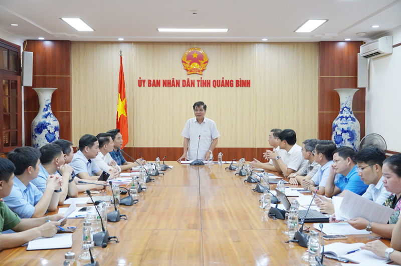 Đồng chí Phó Chủ tịch Thường trực UBND tỉnh Đoàn Ngọc Lâm phát biểu chỉ đạo tại cuộc làm việc với Công ty CP Vật liệu xây dựng Việt Nam.