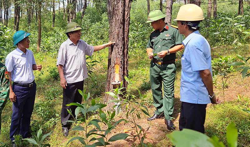 Đồng chí Phó Chủ tịch Thường trực UBND tỉnh Đoàn Ngọc Lâm kiểm tra công tác PCCCR tại xã Vĩnh Ninh (Quảng Ninh).