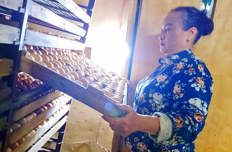 Với nguồn vốn vay giải quyết việc làm của NHCSXH huyện, chị Lê Thị Thanh có cơ hội để xây dựng mô hình lò ấp trứng.